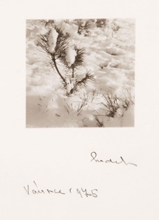 Josef Sudek (1896 - 1976) - Pod sněhem