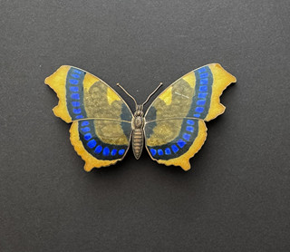 Unusually Large Enamel Butterfly