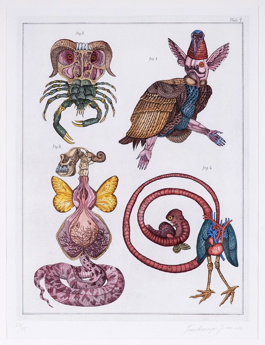 Jan Švankmajer (1934) - Přírodopis č. 1