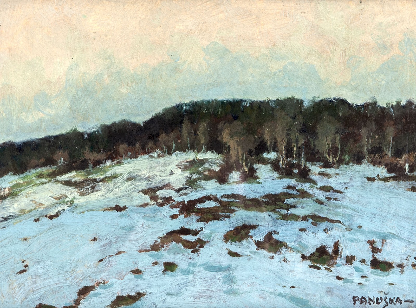 Jaroslav Panuška (1872 - 1958) - Zimní les