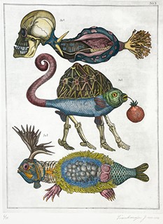 Jan Švankmajer (1934) - Přírodopis č. 3