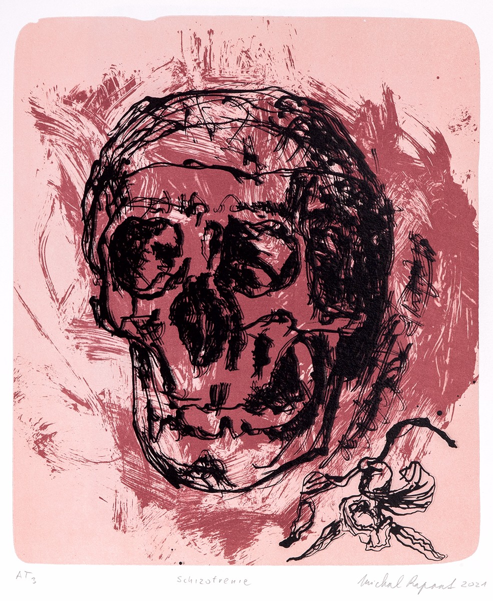 Michal Rapant (1986) - Schizofrenie