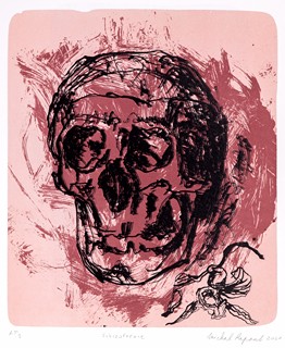 Michal Rapant (1986) - Schizofrenie