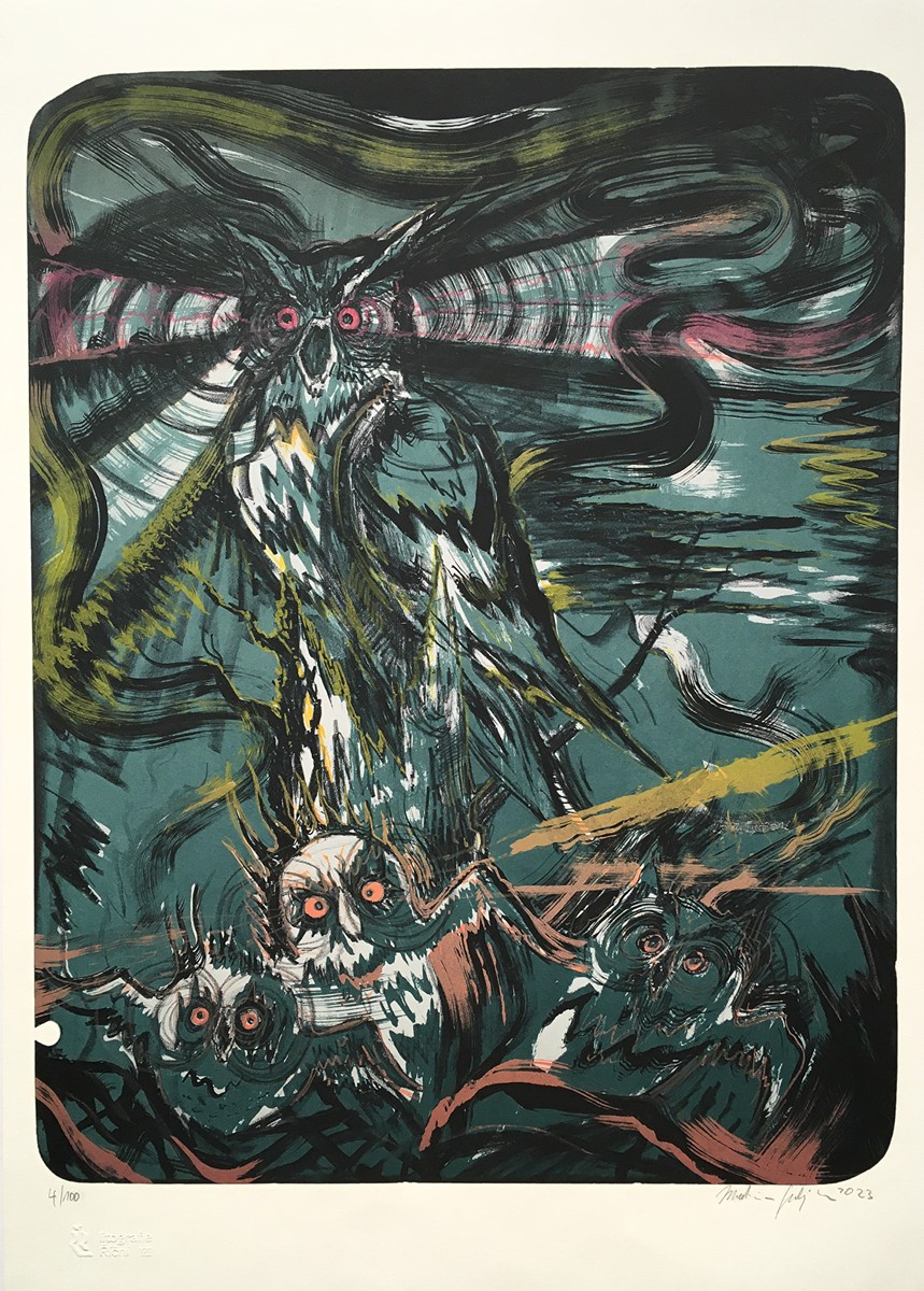 Martin Salajka (1981) - Sovy