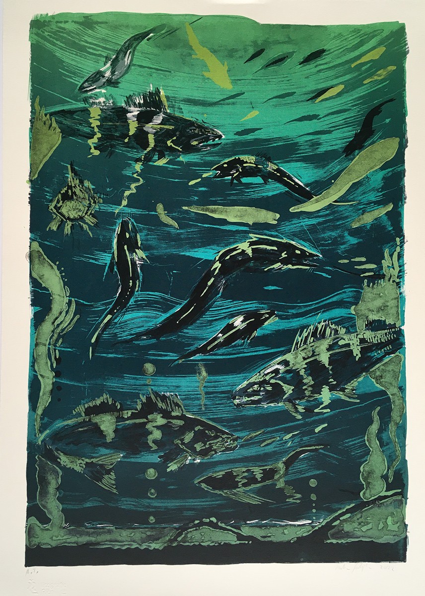 Martin Salajka (1981) - Ryby