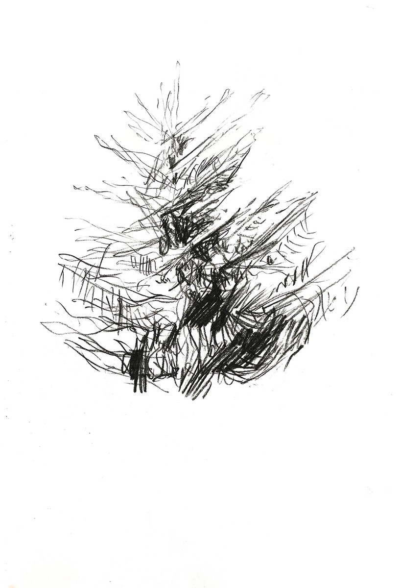 Mariana Alasseur (1976) - Strom