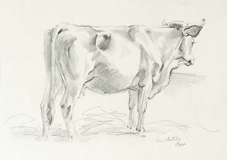 Emil Kotrba (1912 - 1983) - Kráva