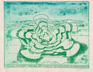 Dana Puchnarová (1938) - Poslední květina na planetě zemi