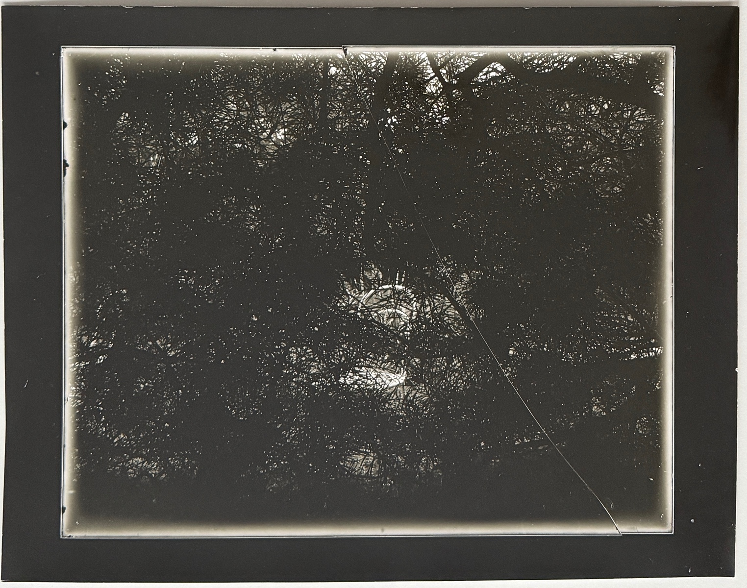 Reich Jan (1942–2009) - Poslední Sudek