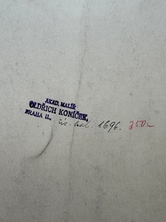 Koníček Oldřich (1886 – 1932) - Rajnochovice – srpen (1920)