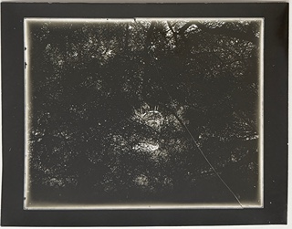 Reich Jan (1942–2009) - Poslední Sudek