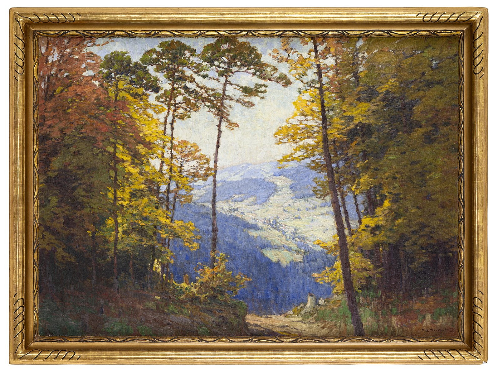 Forest viewpoint