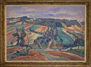 Opoka and red soil on Džbán