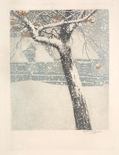 Winter theme