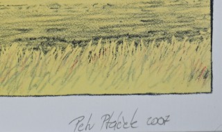 Petr Ptáček (1965) - Letiště