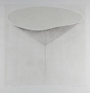 Jiří Samek (1955) - Bílý květ