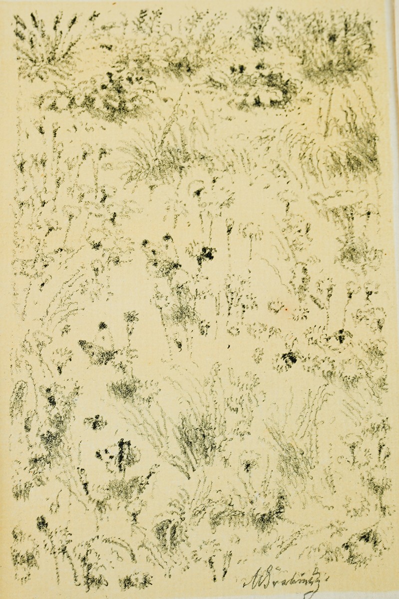Max Švabinský (1873-1962) - Louka PF 1951