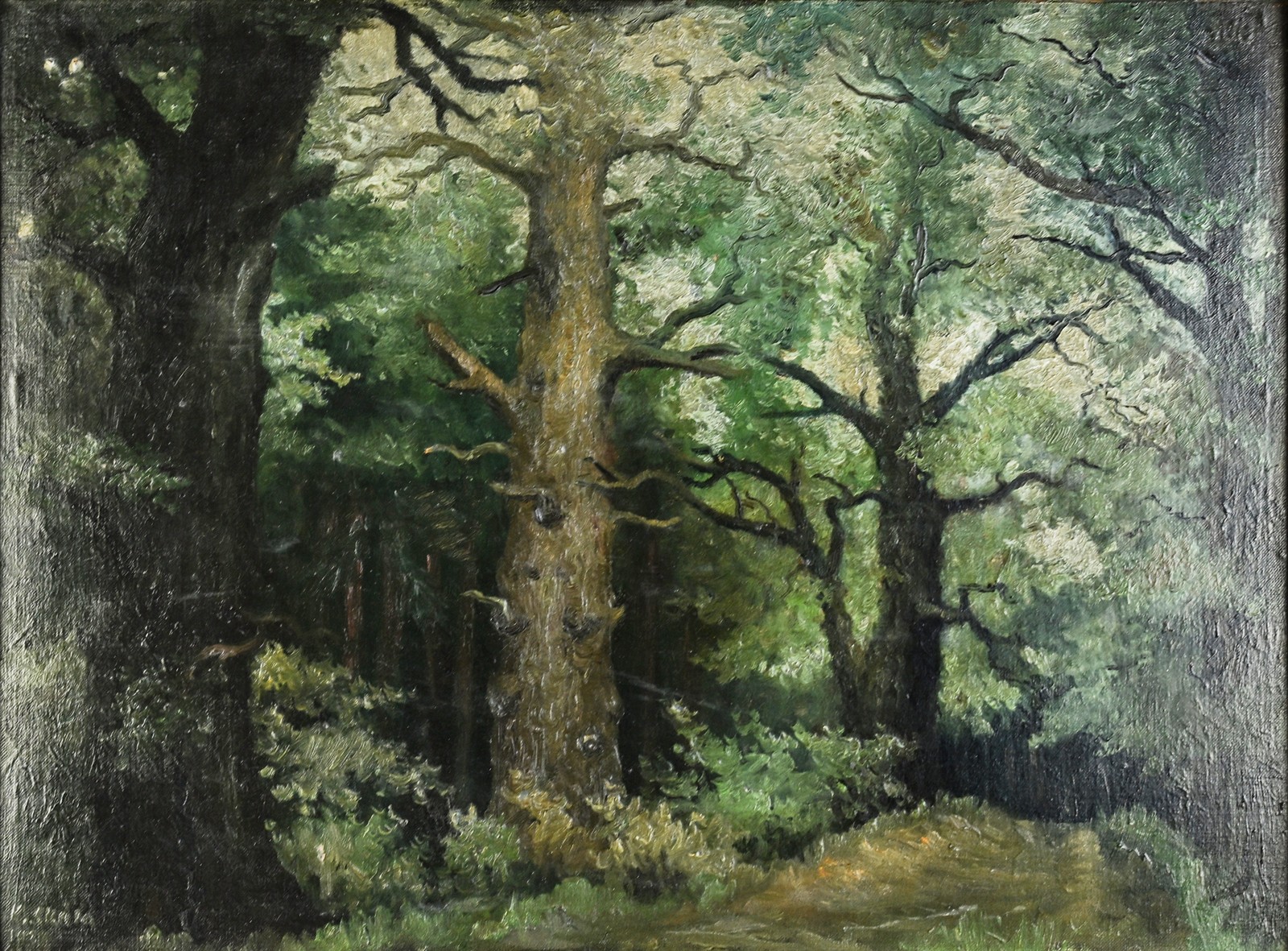Karel Skála (1908-2001) - Les
