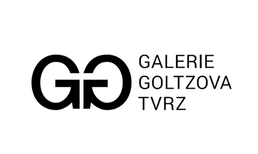 Galerie Goltzova tvrz - společná aukce obrázek