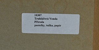 Venda Truhlářová (1924-2016) - Příroda
