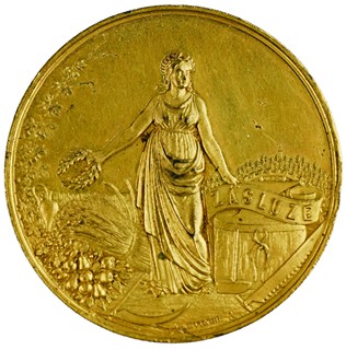Medaile – Jindřichův Hradec, Jubilejní výstava 1888 (autor: A. Kettner)