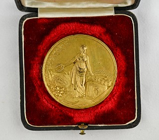 Medaile – Jindřichův Hradec, Jubilejní výstava 1888 (autor: A. Kettner)