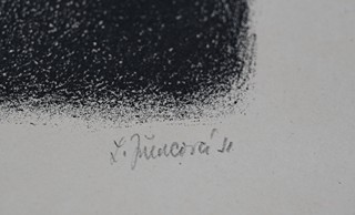Ludmila Jiřincová (1912-1994) - Překvapení