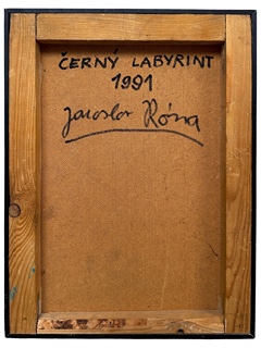 Jaroslav Róna (1957) - Černý labyrint
