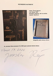 Jaroslav Róna (1957) - Černý labyrint