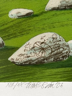 Tomáš Bím (1946) - Pod vrcholem