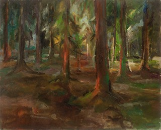 A Forest Interior