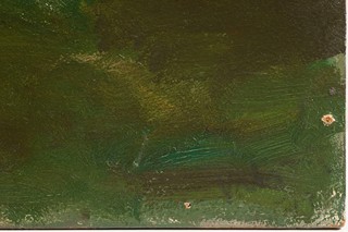 A Forest Interior