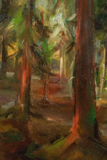 A Forest Interior