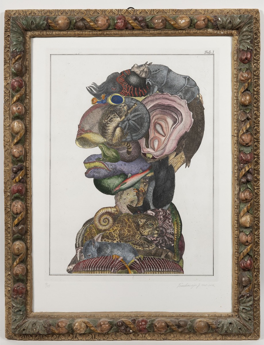 ARCIMBOLDESQUE HEAD