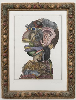 ARCIMBOLDESQUE HEAD