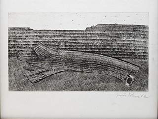 Jiří John (1923 - 1972) - Kmen