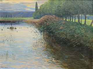 Josef Holub - Tůň