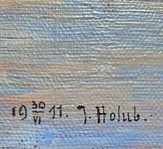 Josef Holub - Tůň