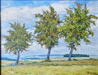Josef Jambor - Jeřabiny