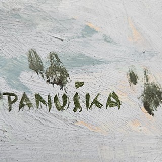 Jaroslav Panuška - Zimní nálada