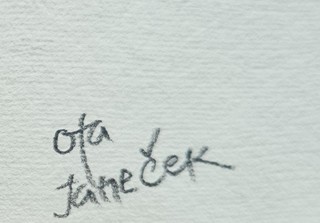 Ota Janeček - Dívka