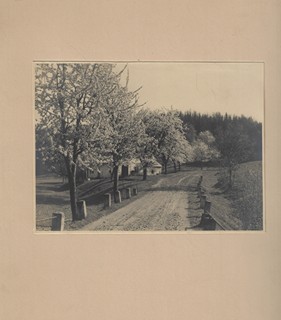Nová Paka / Foto Hák N. Paka
