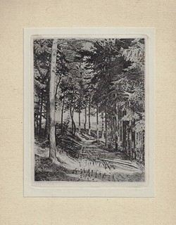 Bohumil Heinz (1894 - 1940) - Z díla rytce Bohumila Heinze