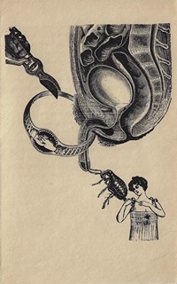 Vítězslav Nezval (1900 - 1958) - Sexuální nocturno / Vítězslav Nezval