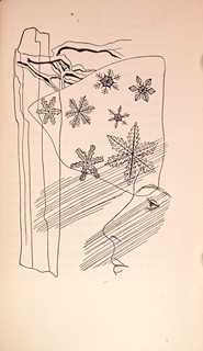 Toyen (1902 - 1980) - Sedmikráska / Jaroslav Durych ; kresby Toyen