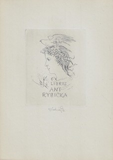 Jaroslav Vodrážka (1894 - 1984) - Dvanáct rytých / Jaroslav Vodrážka