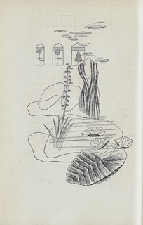 Toyen (1902 - 1980) - Don Juan / Joseph Delteil ; ilustrace Toyen