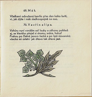 Karel Kinský (1901 - 1969) - Nové kvítí / František Ladislav Čelakovský ; kolorované ilustrace Karel Kinský
