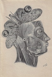 Zdenka Braunerová (1858 - 1934) - Zastřený profil / Miloš Marten ; dřevoryty Zdenka Braunerová