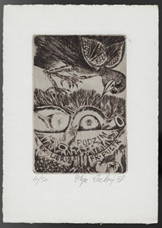 Olga Čechová (1925 - 2010) - Čtyři roční doby / Olga Čechová